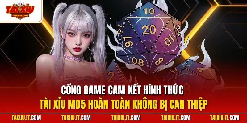 Cổng game cam kết hình thức tài Xỉu MD5 hoàn toàn không bị can thiệp