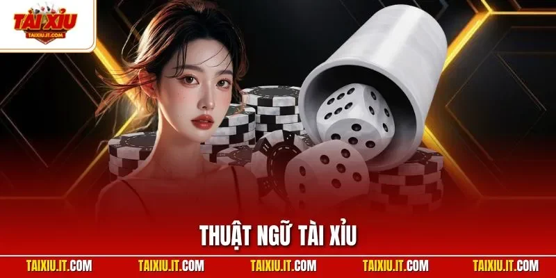 Thuật ngữ tài xỉu