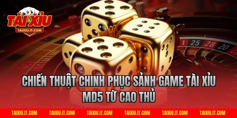 Chiến Thuật Chinh Phục Sảnh Game Tài xỉu md5 Từ Cao Thủ