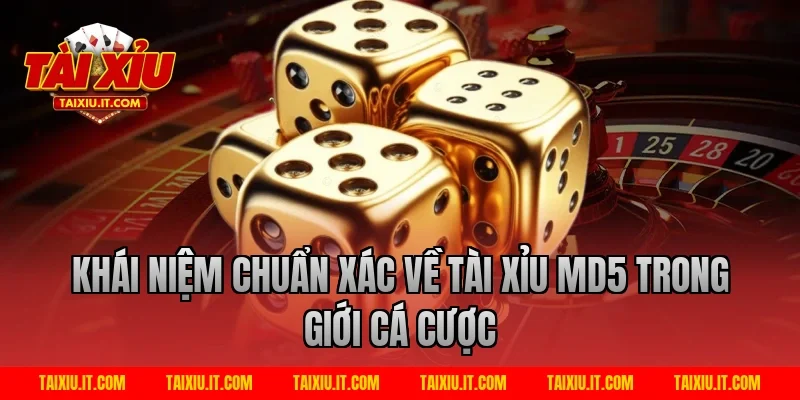 Khái Niệm Chuẩn Xác Về Tài xỉu md5 Trong Giới Cá Cược