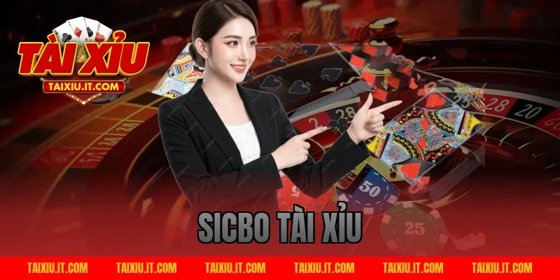 sicbo tài xỉu