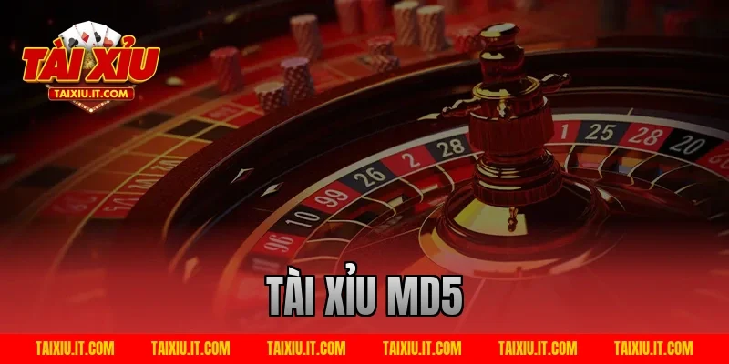 Tài xỉu md5